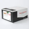 Clearance Damco Amandel Marsepein 1:3 Naturel WM (rol kwaliteit) 10kg