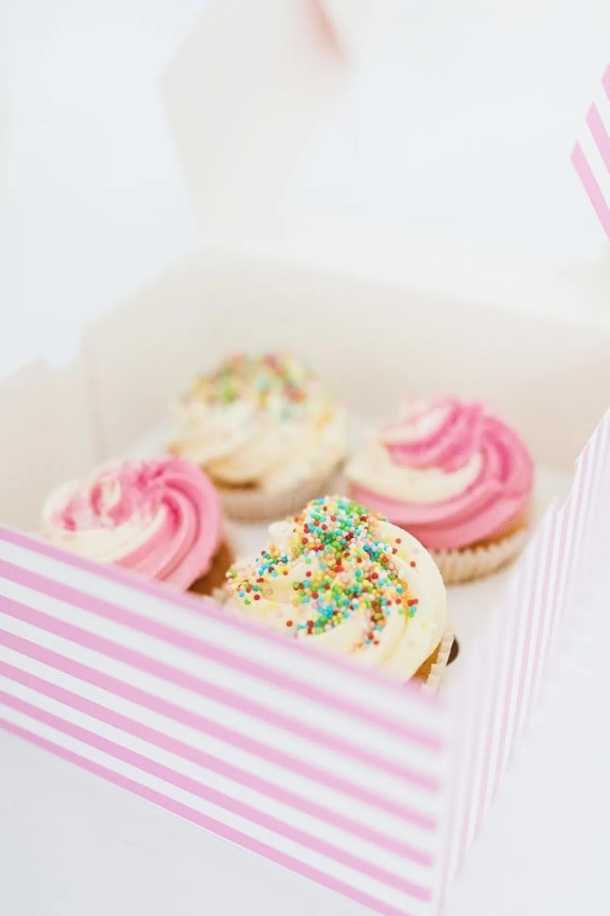 New BrandNewCake Musketzaad (discodip) Mix 10kg