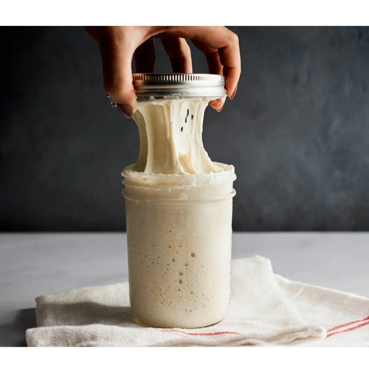 Best Overig Brod & Taylor Sourdough Home (Zuurdesem kast)