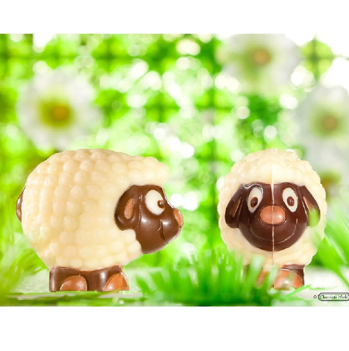 Discount Chocolate World Chocolademal Schaap (18x) 37,5x32x12,5mm