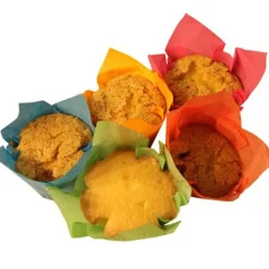 Clearance Overig Cupcake - Muffin cup Tulp Klein Kleurenmix 750st.