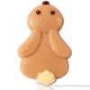 Outlet Dobla Chocoladedecoratie Haas (108 stuks)