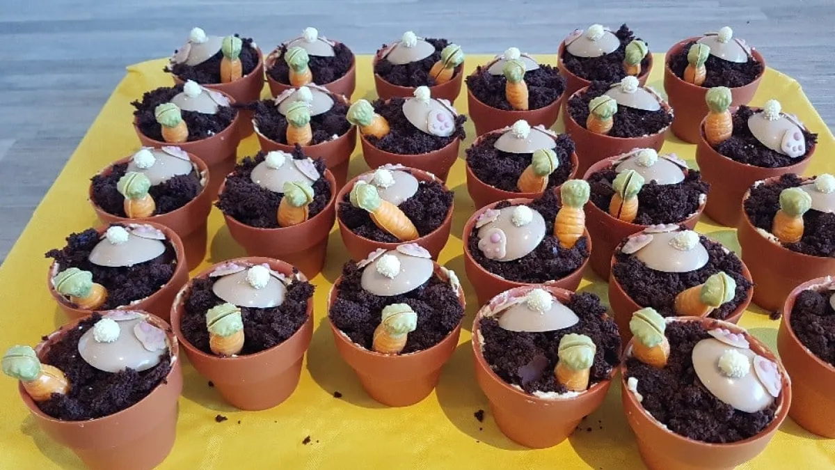 Outlet Dobla Chocoladedecoratie Bloempot Large (28 stuks)