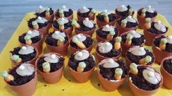 Discount Dobla Chocoladedecoratie Bloempot Mini (24 stuks)