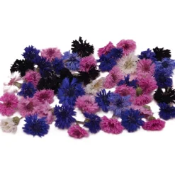 Outlet Overig Eetbare Gedroogde Korenbloemen (25 stuks)