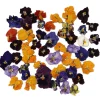 New Overig Eetbare Gedroogde Viooltjes (50 stuks)
