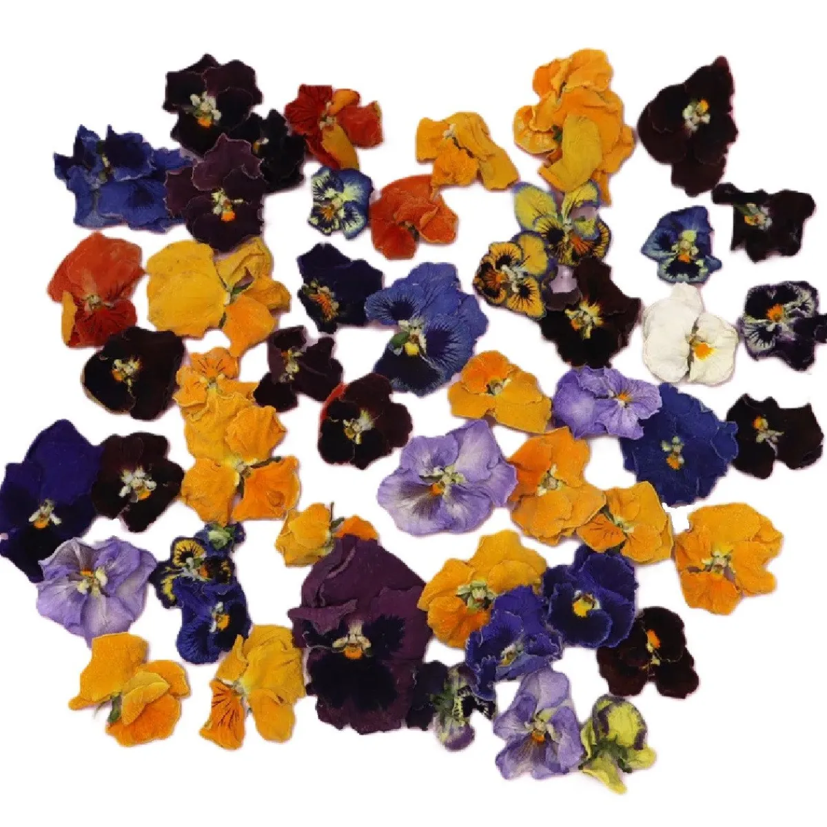 New Overig Eetbare Gedroogde Viooltjes (50 stuks)