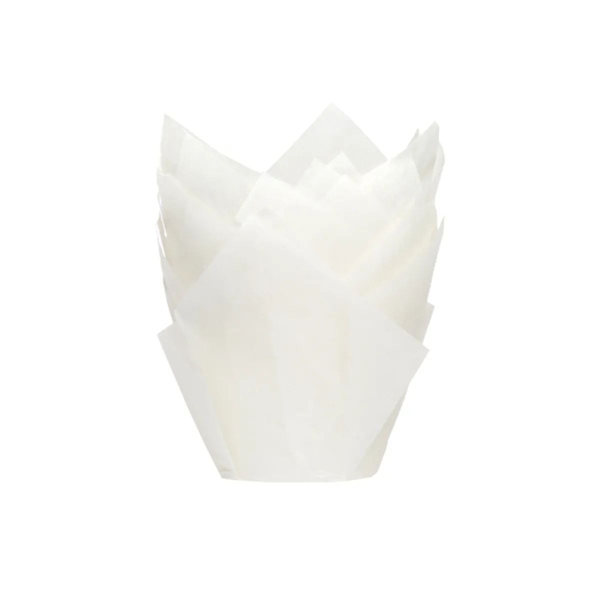 Clearance House of Marie Muffin Cups HoM Tulp Wit 36st.