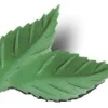 New Overig Ouwel Blaadjes Gekarteld Groen 38mm (1000st)