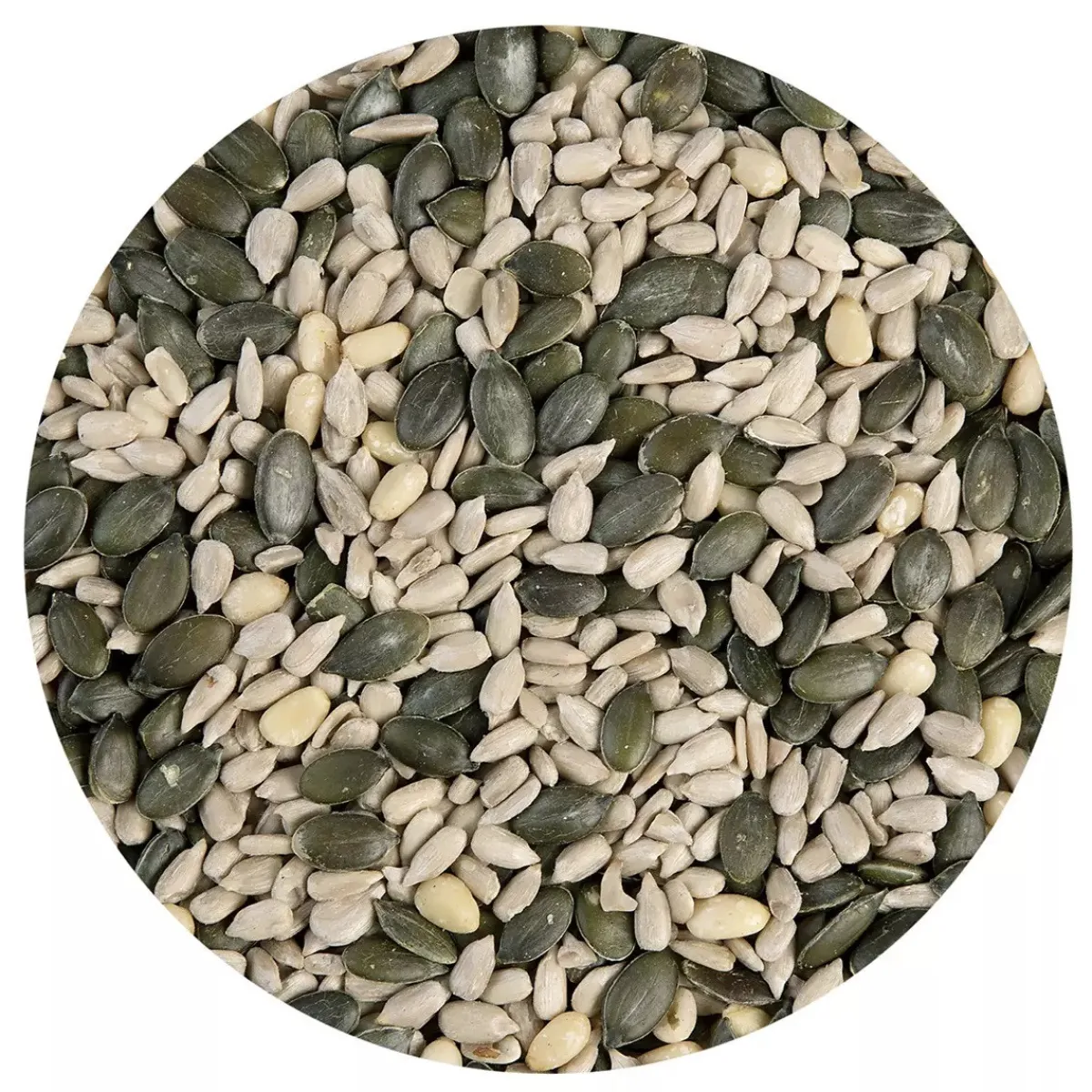 Best BrandNewCake Pittenmix 1kg