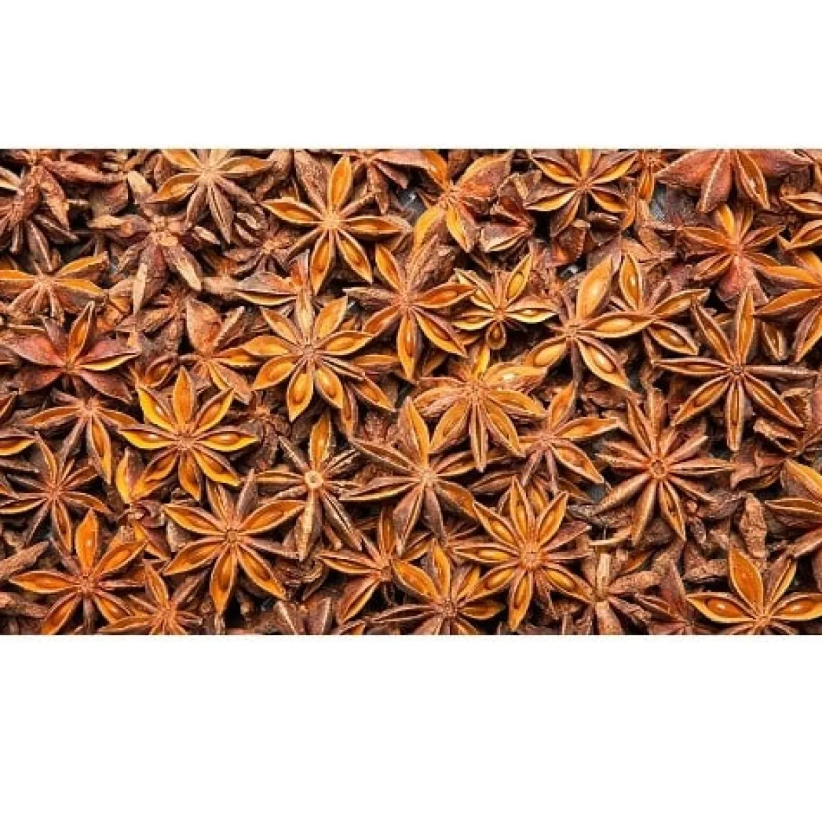 Clearance Polak Steranijs Heel 600 gram