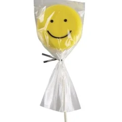 Hot Wilton Cakepops / Lollipop zakjes 10x23cm 25st.