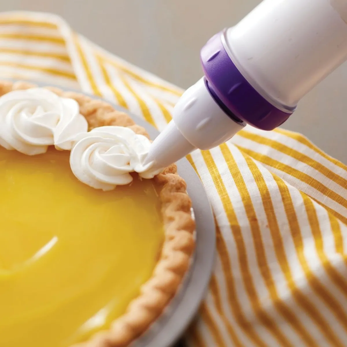 Best Wilton Decoratie Set Plus