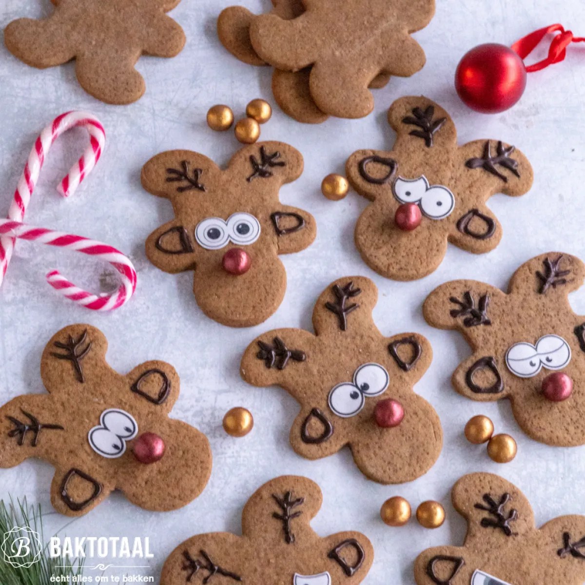 Online Wilton Grip Uitsteker Gingerbread